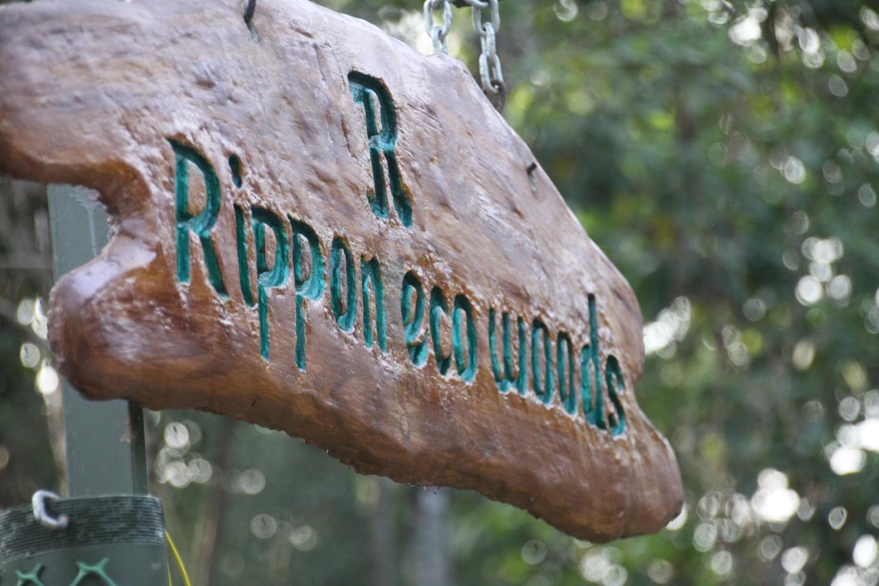Rippon Eco Woods Vila Kalpatta Exterior foto