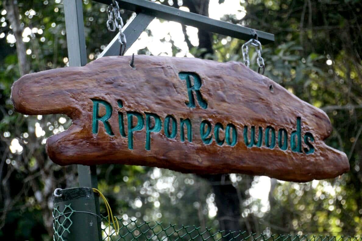 Rippon Eco Woods Vila Kalpatta Exterior foto